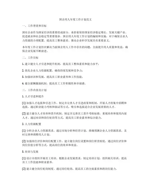 国企用人年度工作计划范文
