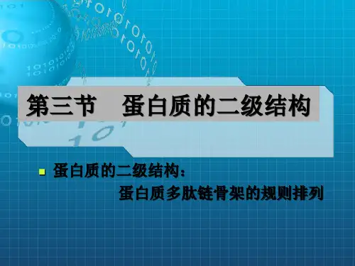 《蛋白质结构》PPT课件 (2)