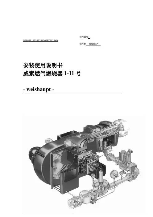 威索燃烧器中文说明书