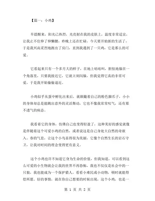 可爱小鸡作文范文
