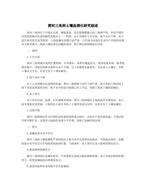 黄河三角洲土壤盐渍化研究综述
