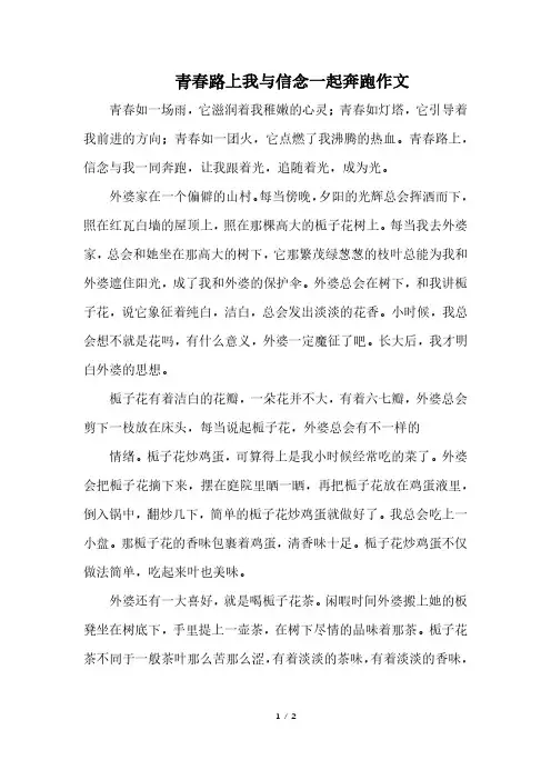青春路上我与信念一起奔跑作文