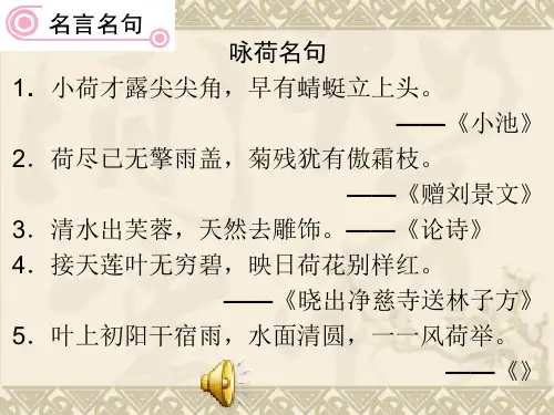 朱自清荷塘月色精品PPT课件