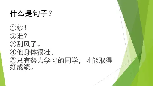 现代汉语句子的基本语法常识PPT课件