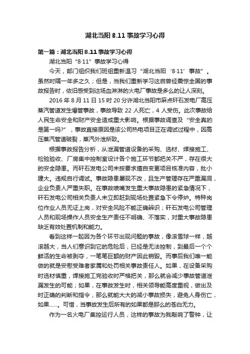 湖北当阳8.11事故学习心得