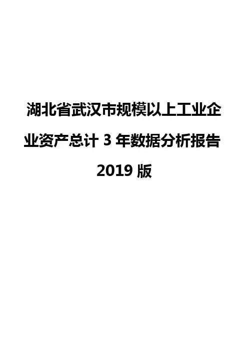 湖北省武汉市规模以上工业企业资产总计3年数据分析报告2019版