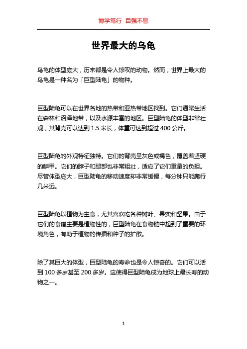世界最大的乌龟