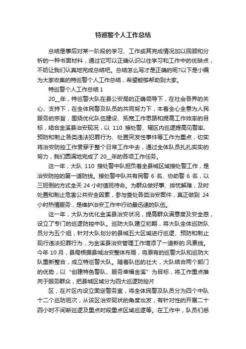 特巡警个人工作总结