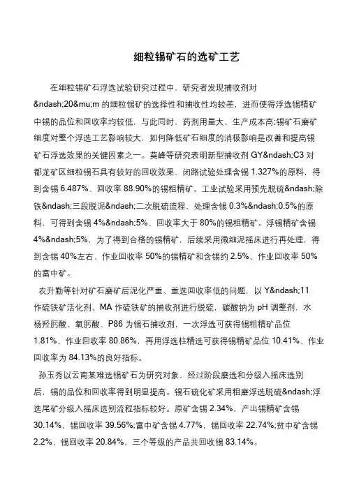 细粒锡矿石的选矿工艺
