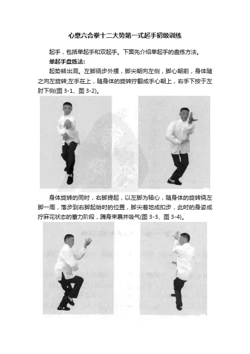 心意六合拳十二大势第一式起手初级训练