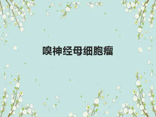 嗅神经母细胞瘤影像诊断