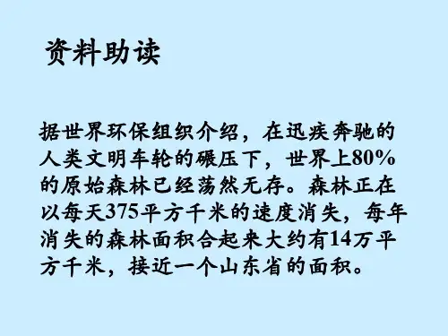 人教九下《那树》ppt课件8
