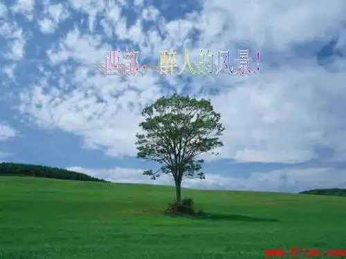 西部的风景