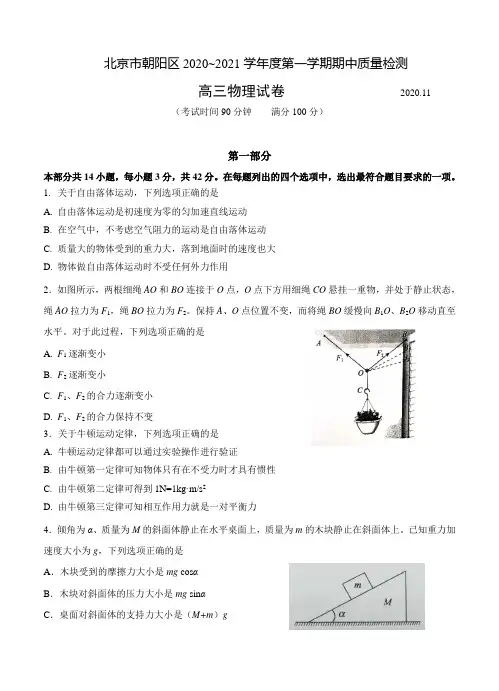 北京市朝阳区2021届高三上学期期中考试 物理