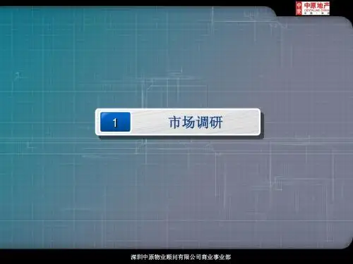 华强北的调研资料