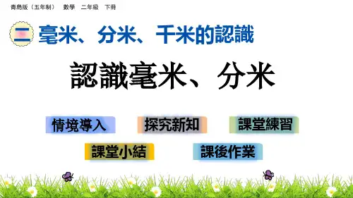青岛版二年级数学课件-认识毫米、分米