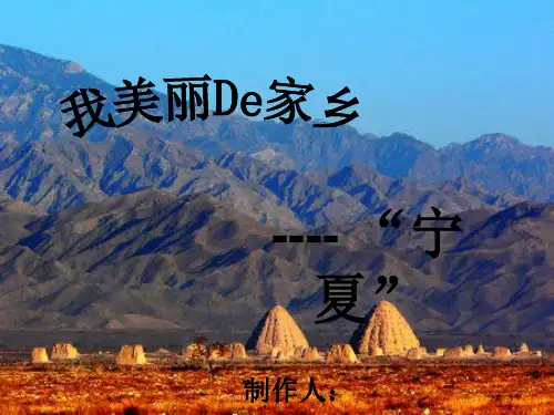 我美丽的家乡--宁夏