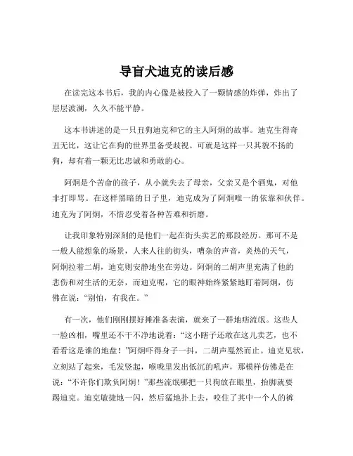 导盲犬迪克的读后感