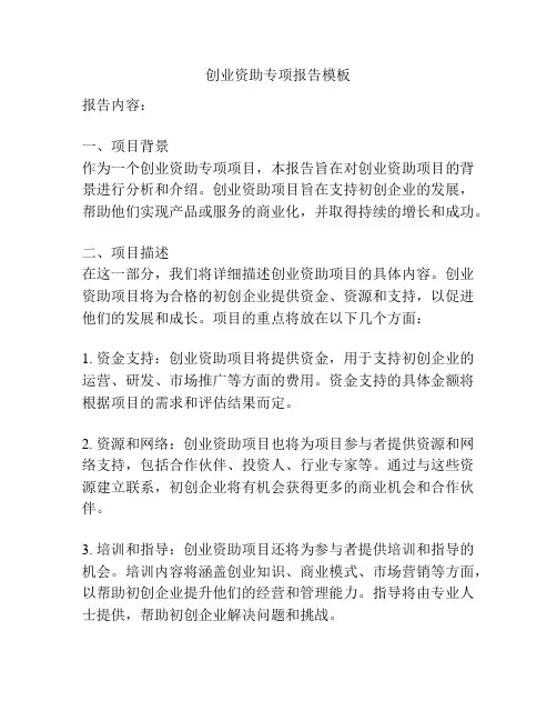 创业资助专项报告模板