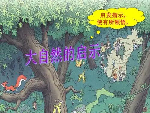 四年级下语文_大自然的启示_ppt_课件(完美版)