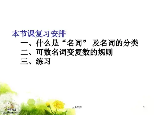 初三英语名词专项复习  ppt课件
