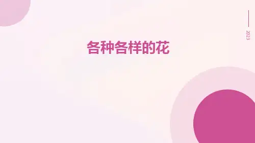 各种各样的花