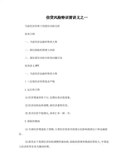 当前经济形势下的授信风险分析(DOC)