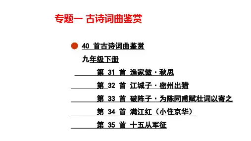 2024年河北省中考语文总复习课件：专题一+古诗词曲鉴赏(九年级下册)
