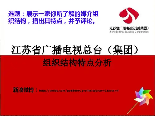 江苏电视台组织结构分析