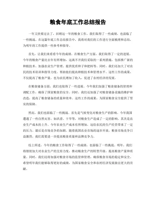 粮食年底工作总结报告