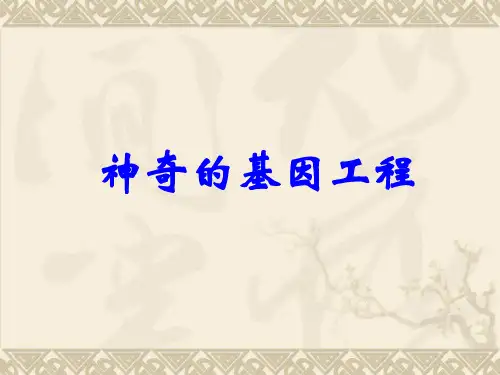 《神奇的基因工程》2PPT课件
