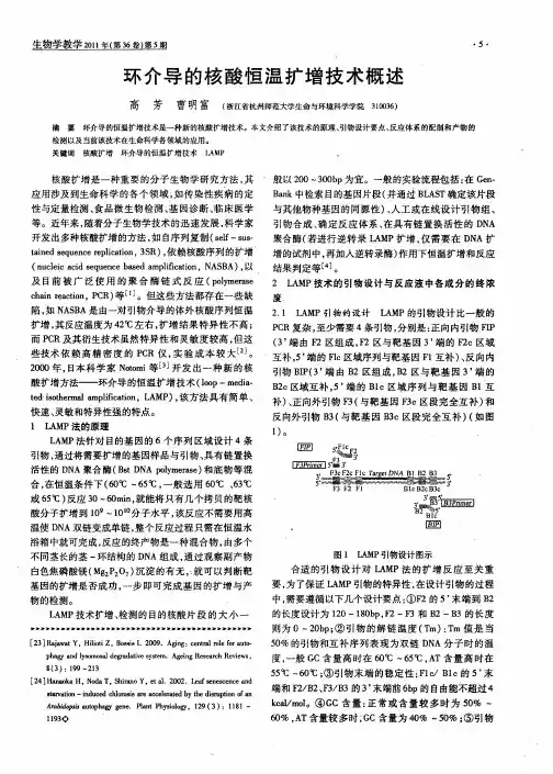 环介导的核酸恒温扩增技术概述