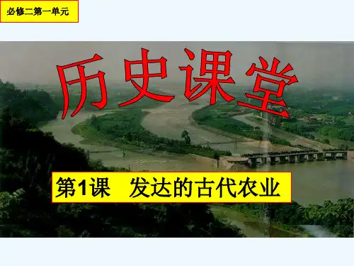 第一课 发达的古代农业课件 新人教版选修2课件
