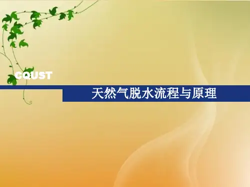 天然气脱水流程与原理