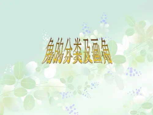 角的分类及画角PPT教学课件