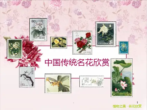 中国传统名花欣赏·牡丹PPT课件