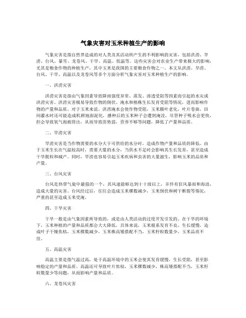 气象灾害对玉米种植生产的影响