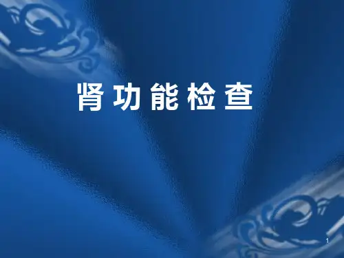 肾功能检查的临床意义PPT幻灯片课件