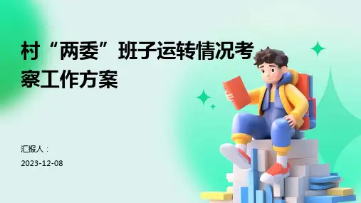 村“两委”班子运转情况考察工作方案