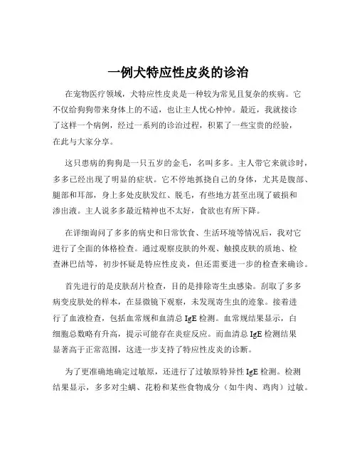 一例犬特应性皮炎的诊治
