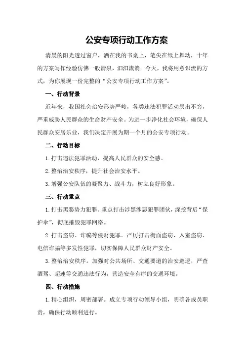 公安专项行动工作方案