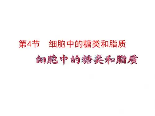 人教版必修1第二章第四节细胞中的糖类和脂质(共30张PPT)