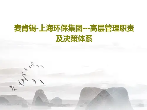 麦肯锡-上海环保集团---高层管理职责及决策体系71页PPT