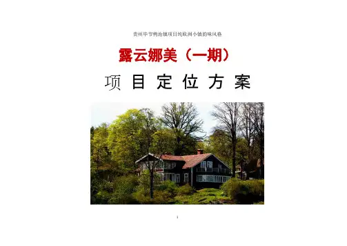 项目定位方案