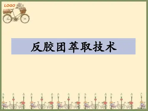 反胶团萃取专题PPT优秀课件