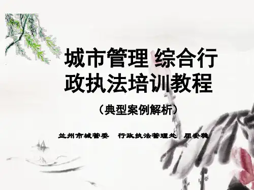 城市管理综合行政执法培训教材模板ppt