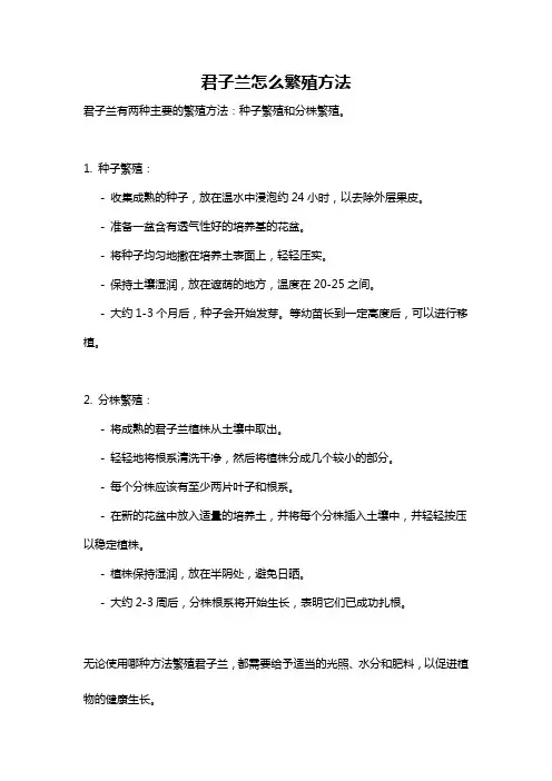 君子兰怎么繁殖方法