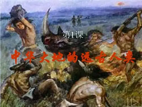 第1课 中华大地的远古人类