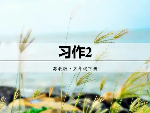 最新苏教版五年级语文下册全套课件习作2