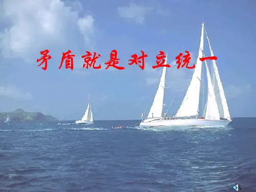 矛盾就是对立统一精选教学PPT课件